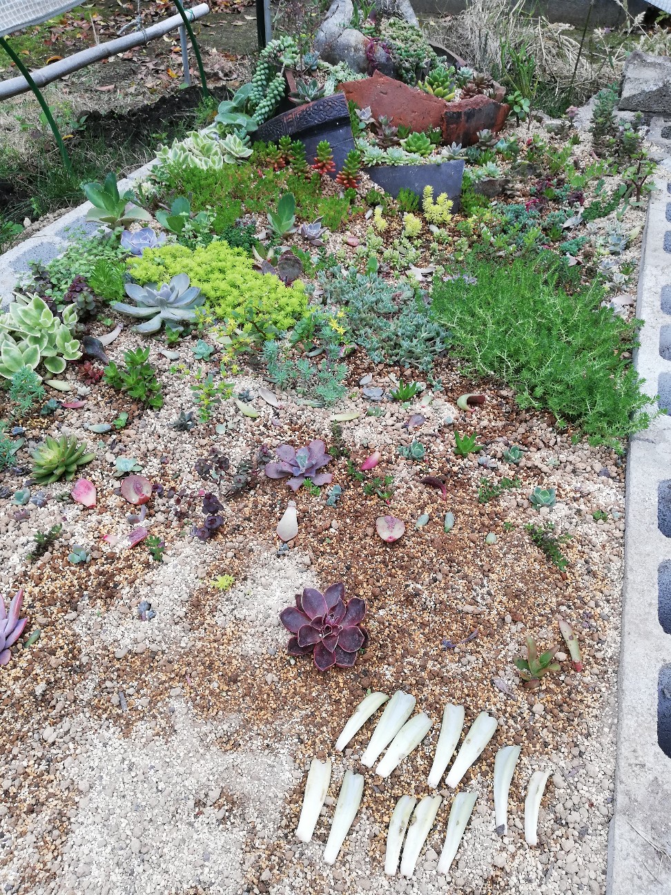 f:id:rockawaythemods:20200612145856j:image