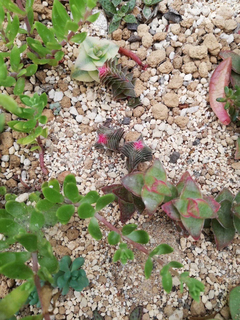 f:id:rockawaythemods:20200612152831j:image