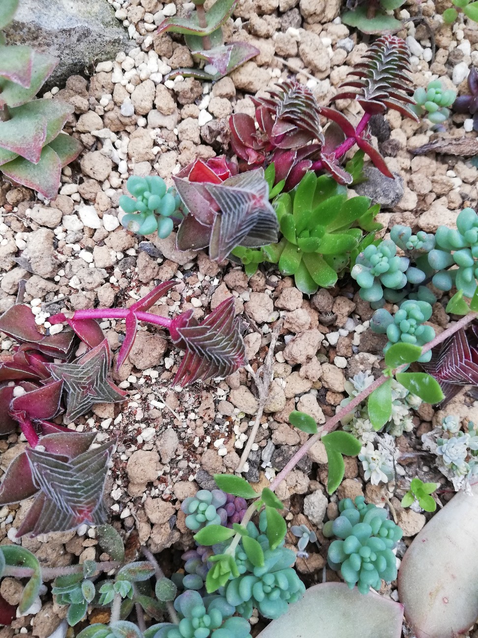 f:id:rockawaythemods:20200612154733j:image