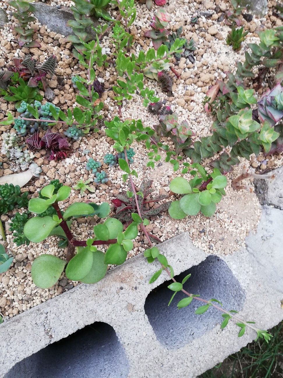 f:id:rockawaythemods:20200612180033j:image