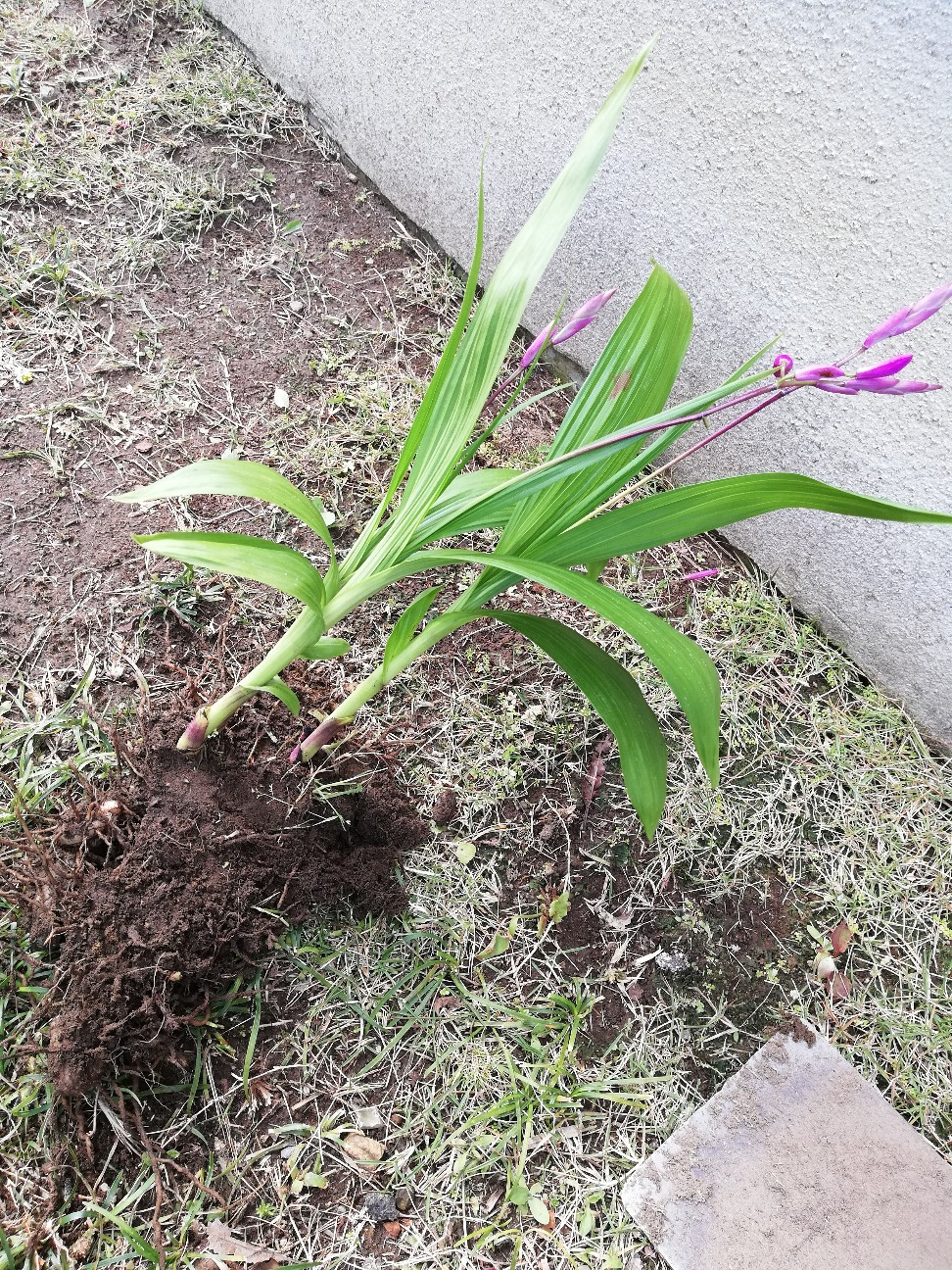 f:id:rockawaythemods:20200618153904j:image