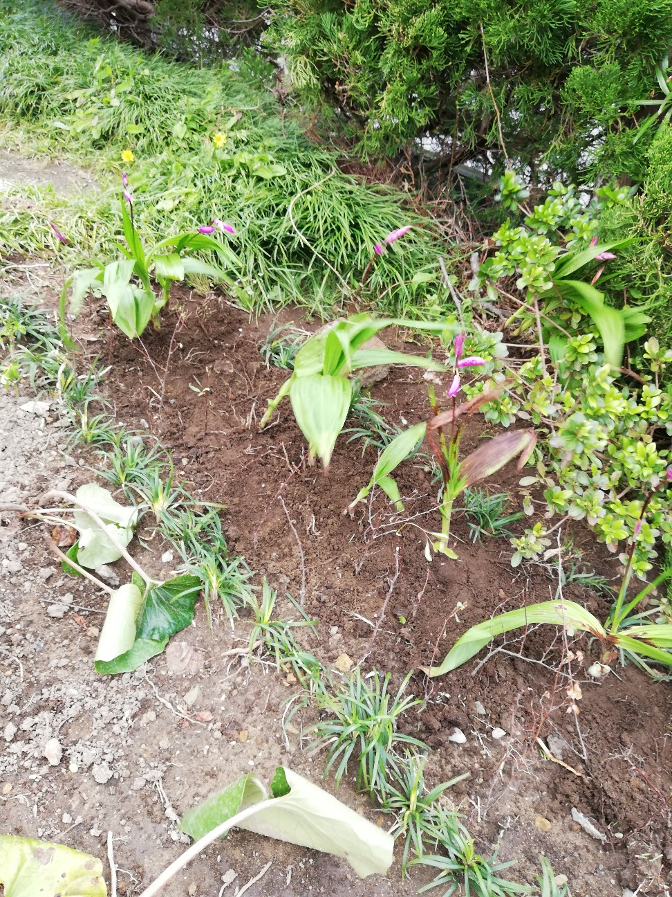 f:id:rockawaythemods:20200618154153j:image