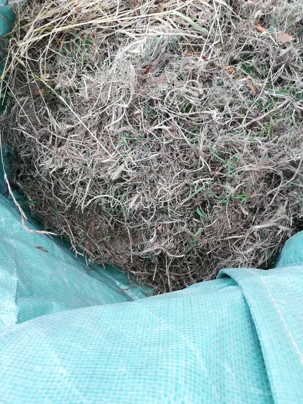 f:id:rockawaythemods:20200619150057j:image