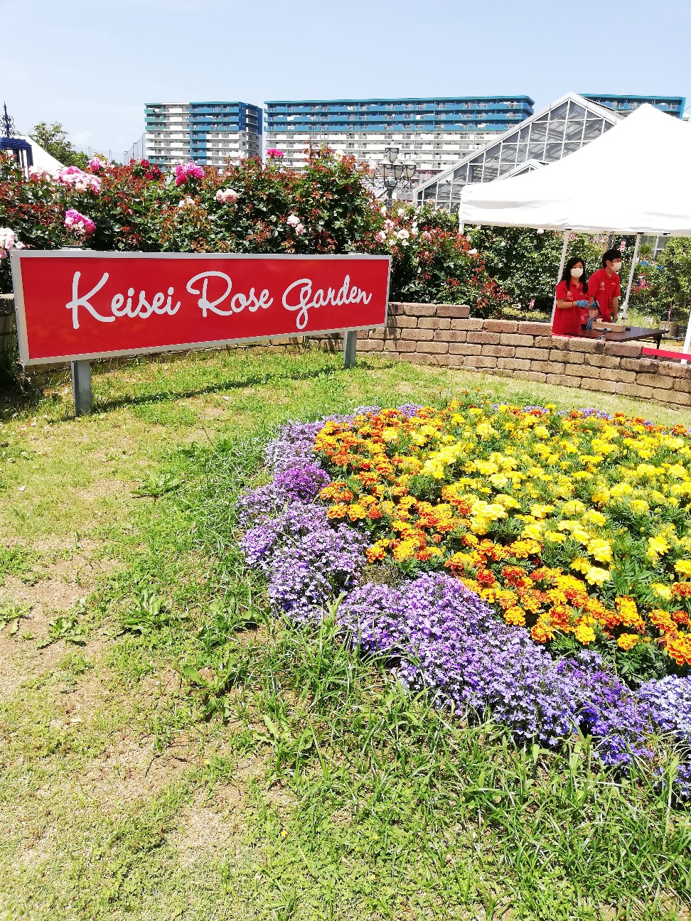 f:id:rockawaythemods:20200619151637j:image