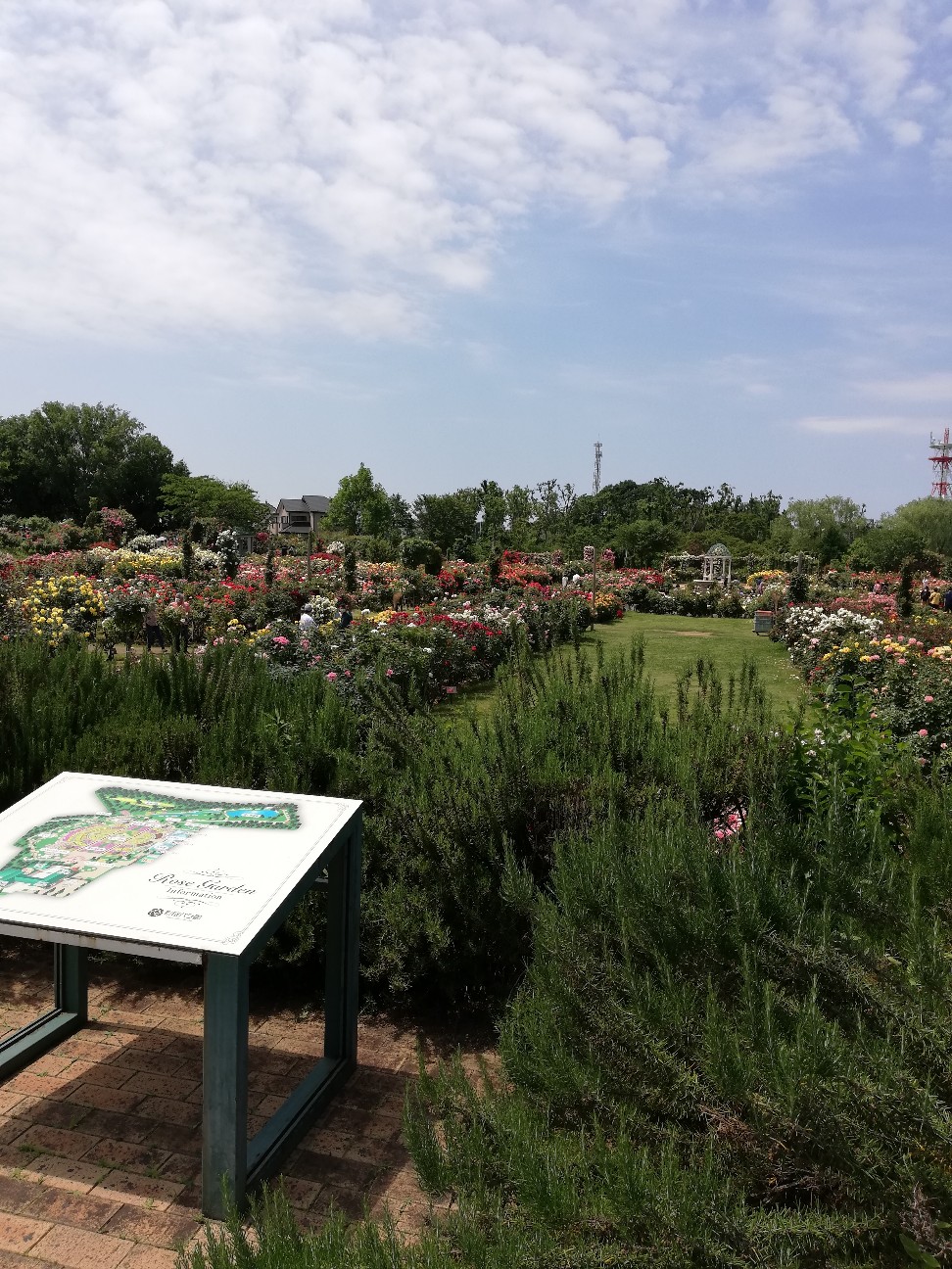 f:id:rockawaythemods:20200619151802j:image