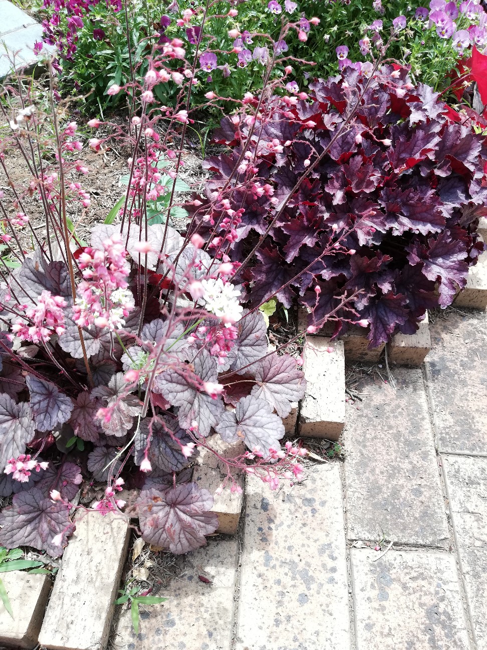 f:id:rockawaythemods:20200619152220j:image