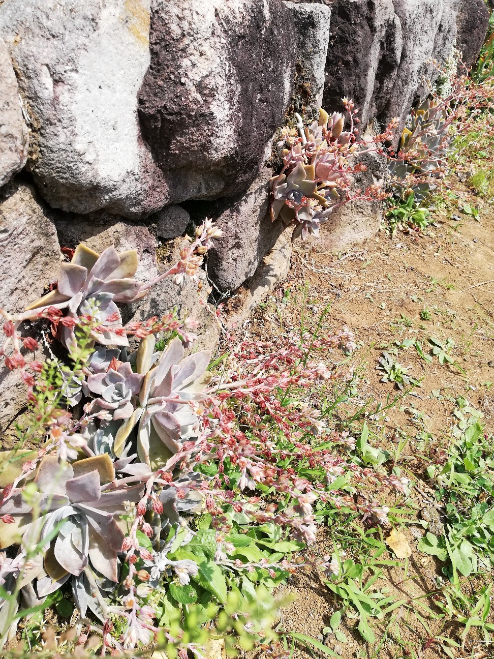 f:id:rockawaythemods:20200619152409j:image