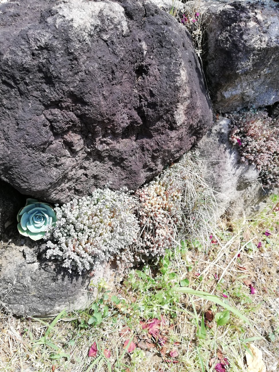 f:id:rockawaythemods:20200619152510j:image