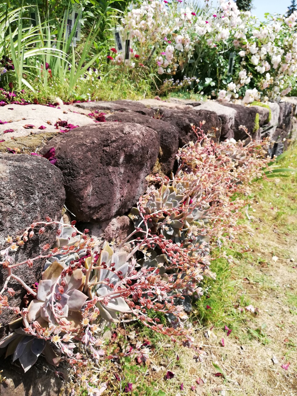 f:id:rockawaythemods:20200619152543j:image