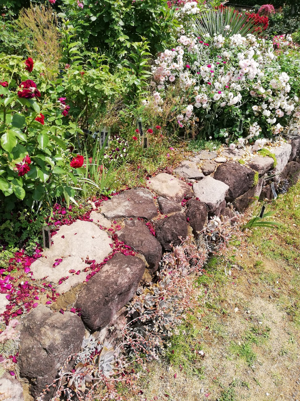 f:id:rockawaythemods:20200619152626j:image