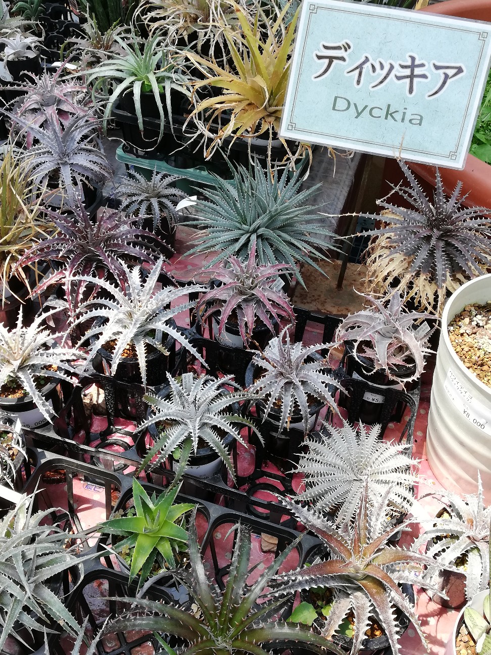 f:id:rockawaythemods:20200619153139j:image