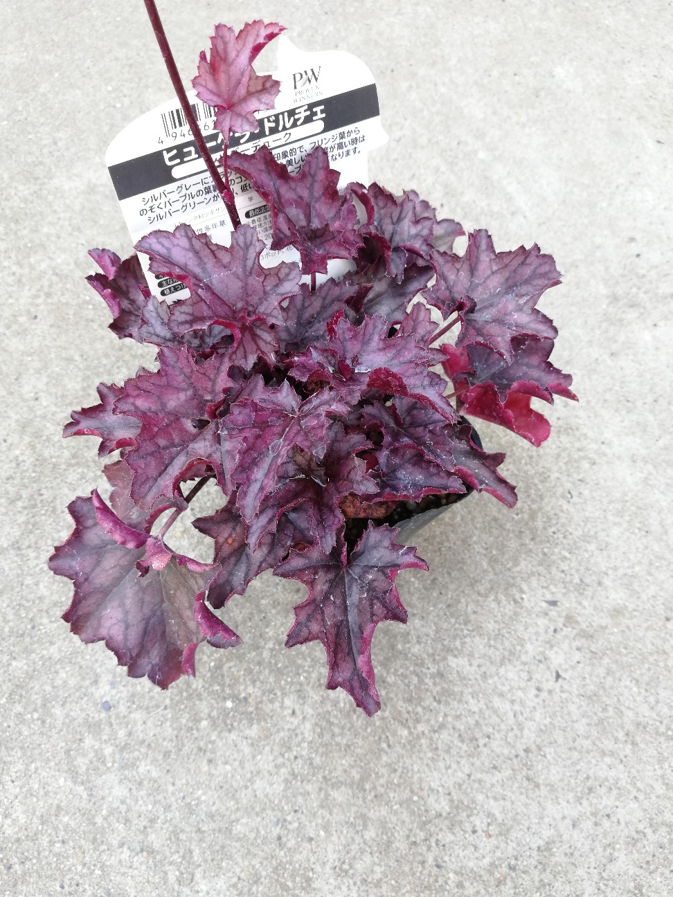 f:id:rockawaythemods:20200619153532j:image