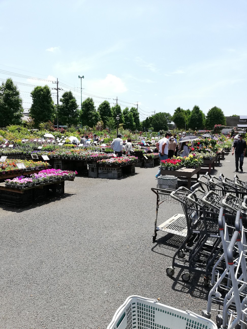 f:id:rockawaythemods:20200623150214j:image