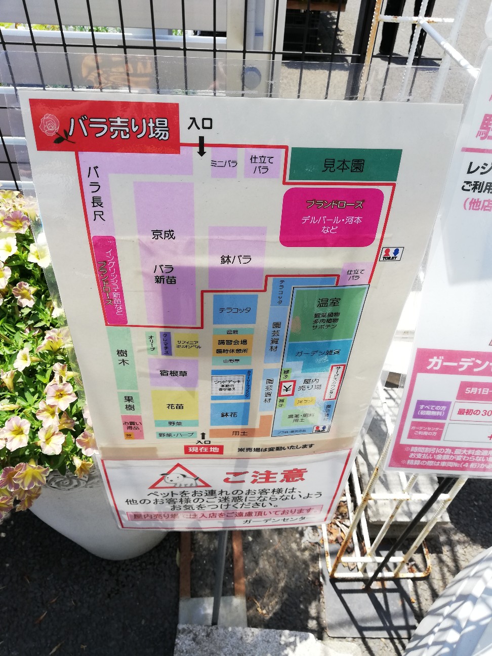 f:id:rockawaythemods:20200623150657j:image