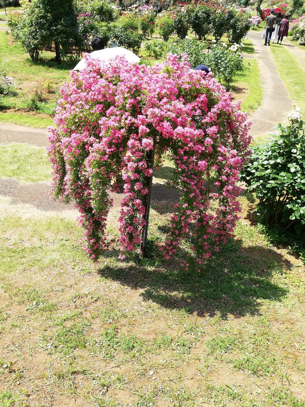 f:id:rockawaythemods:20200623152507j:image