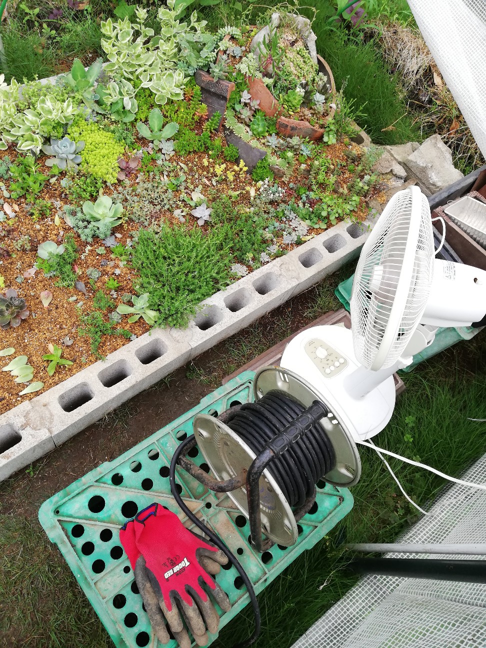 f:id:rockawaythemods:20200629152003j:image