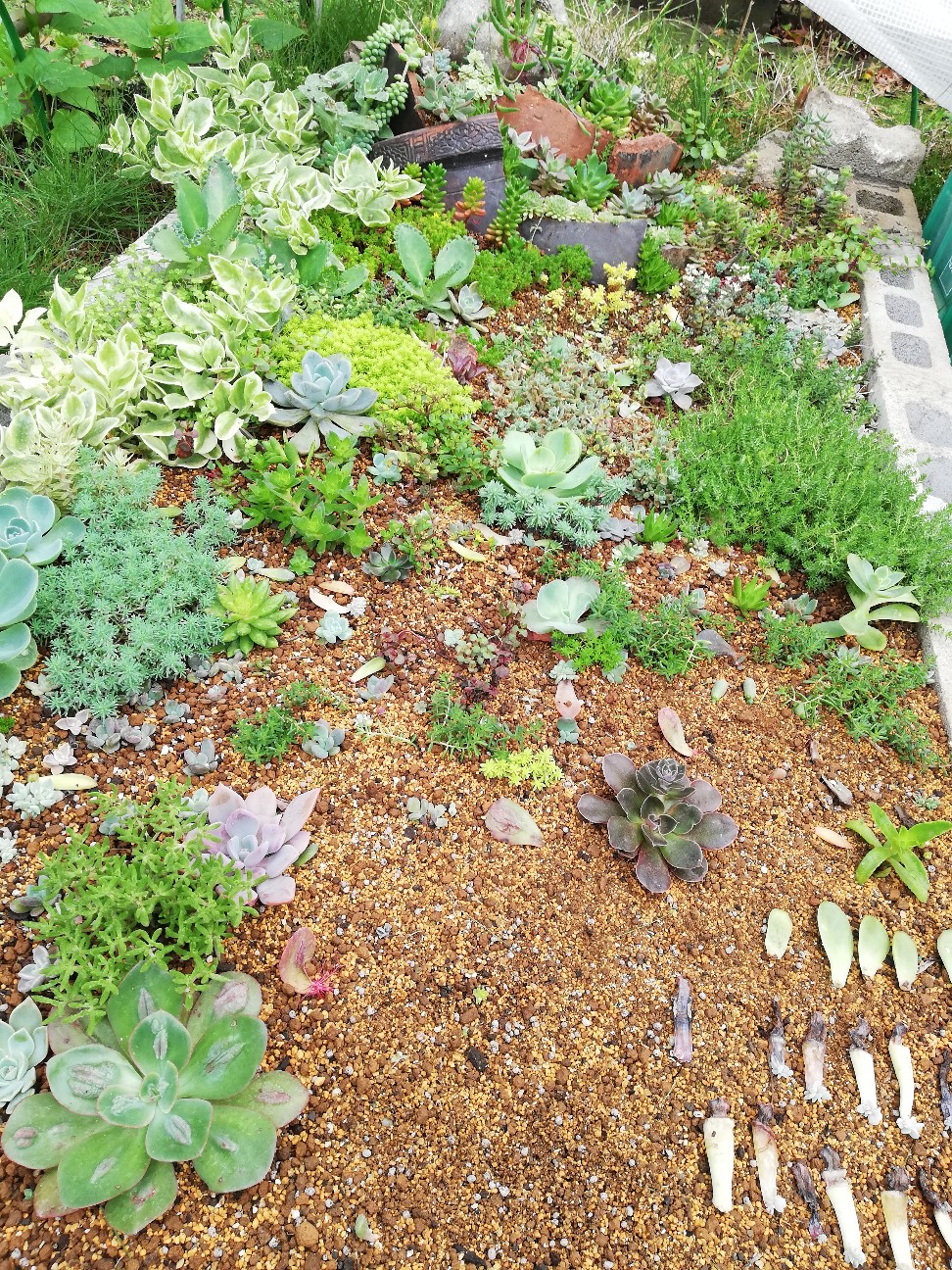 f:id:rockawaythemods:20200629152634j:image