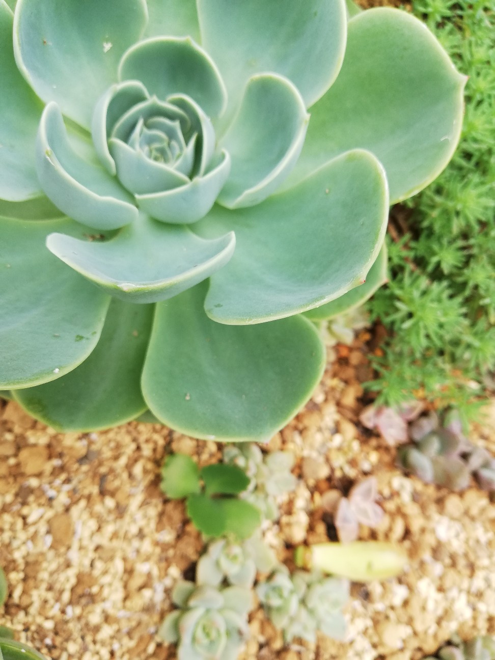 f:id:rockawaythemods:20200629153348j:image