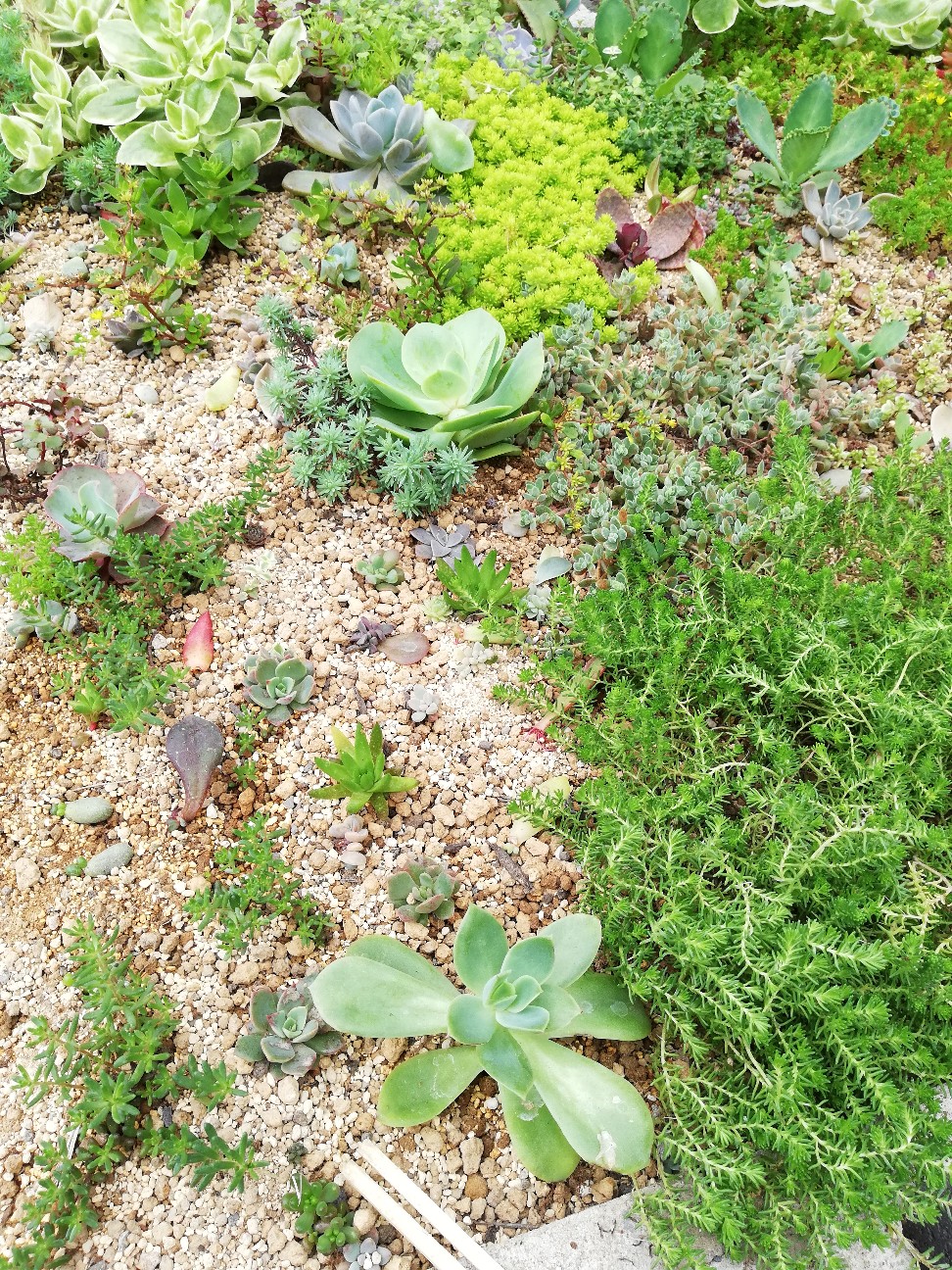 f:id:rockawaythemods:20200629153802j:image