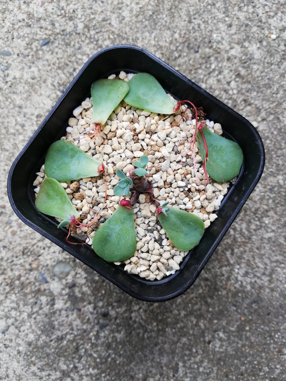 f:id:rockawaythemods:20200706155357j:image f:id:rockawaythemods:20200706155357j:image