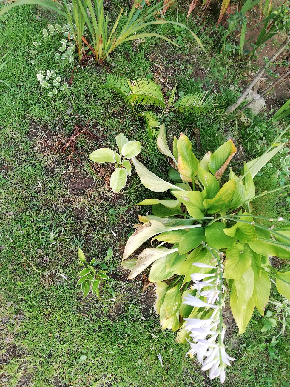 f:id:rockawaythemods:20200818152823j:image f:id:rockawaythemods:20200818152823j:image