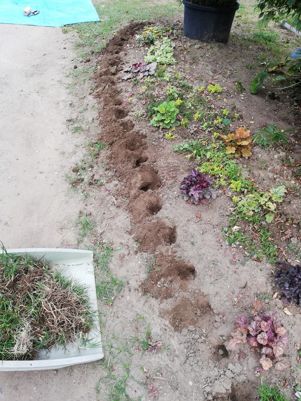 f:id:rockawaythemods:20200818153056j:image f:id:rockawaythemods:20200818153056j:image