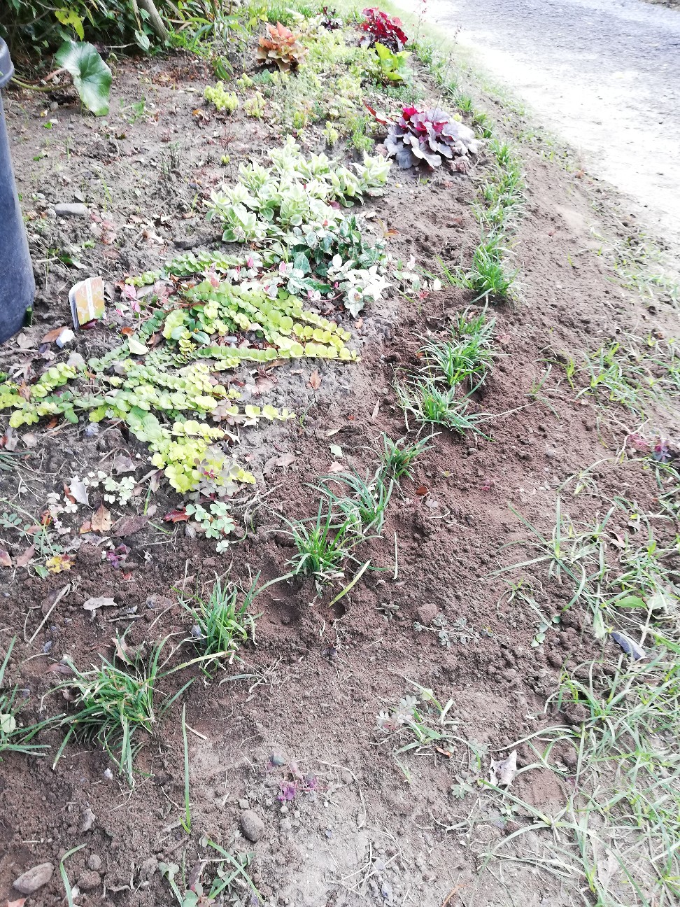 f:id:rockawaythemods:20200818153217j:image f:id:rockawaythemods:20200818153217j:image