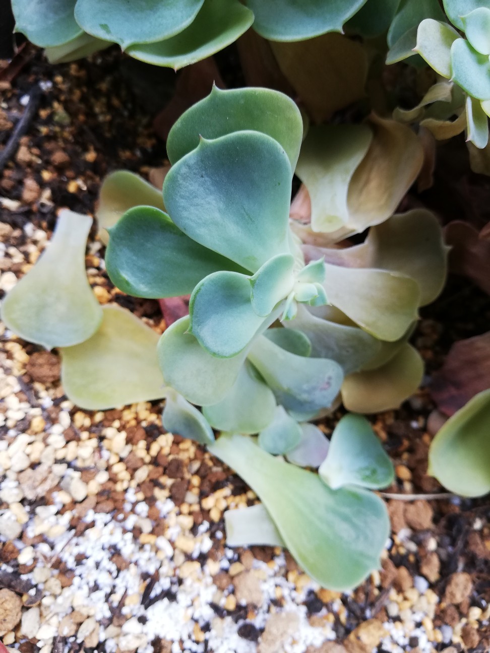 f:id:rockawaythemods:20200929160034j:image f:id:rockawaythemods:20200929160034j:image