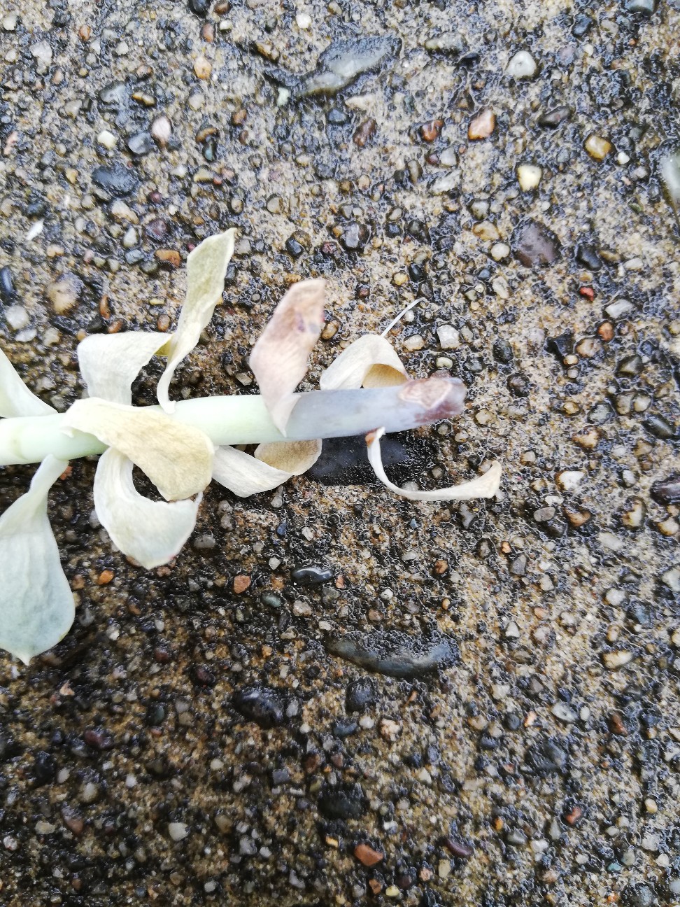 f:id:rockawaythemods:20200929192828j:image f:id:rockawaythemods:20200929192828j:image