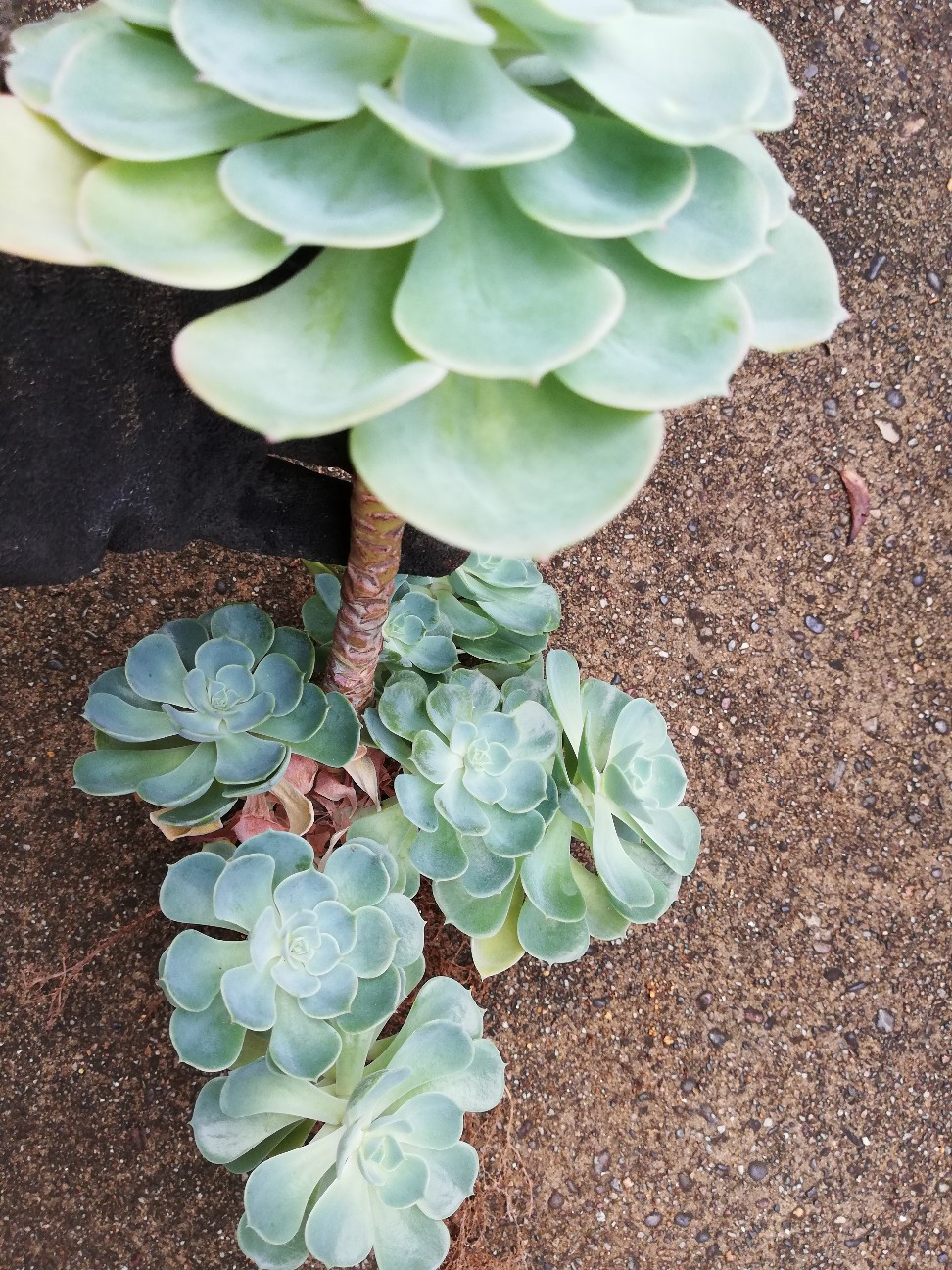 f:id:rockawaythemods:20200929193046j:image f:id:rockawaythemods:20200929193046j:image