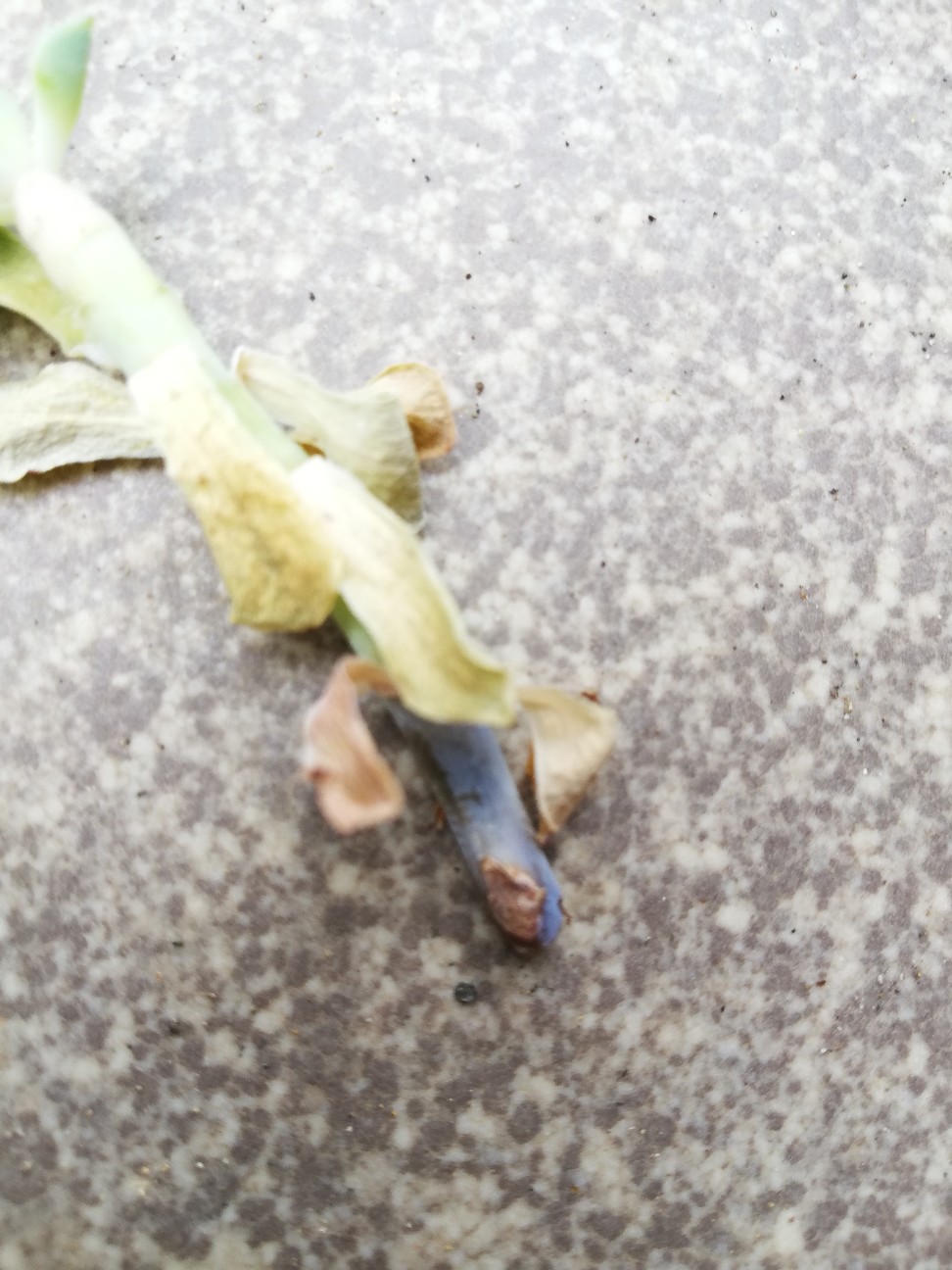 f:id:rockawaythemods:20200929193306j:image f:id:rockawaythemods:20200929193306j:image