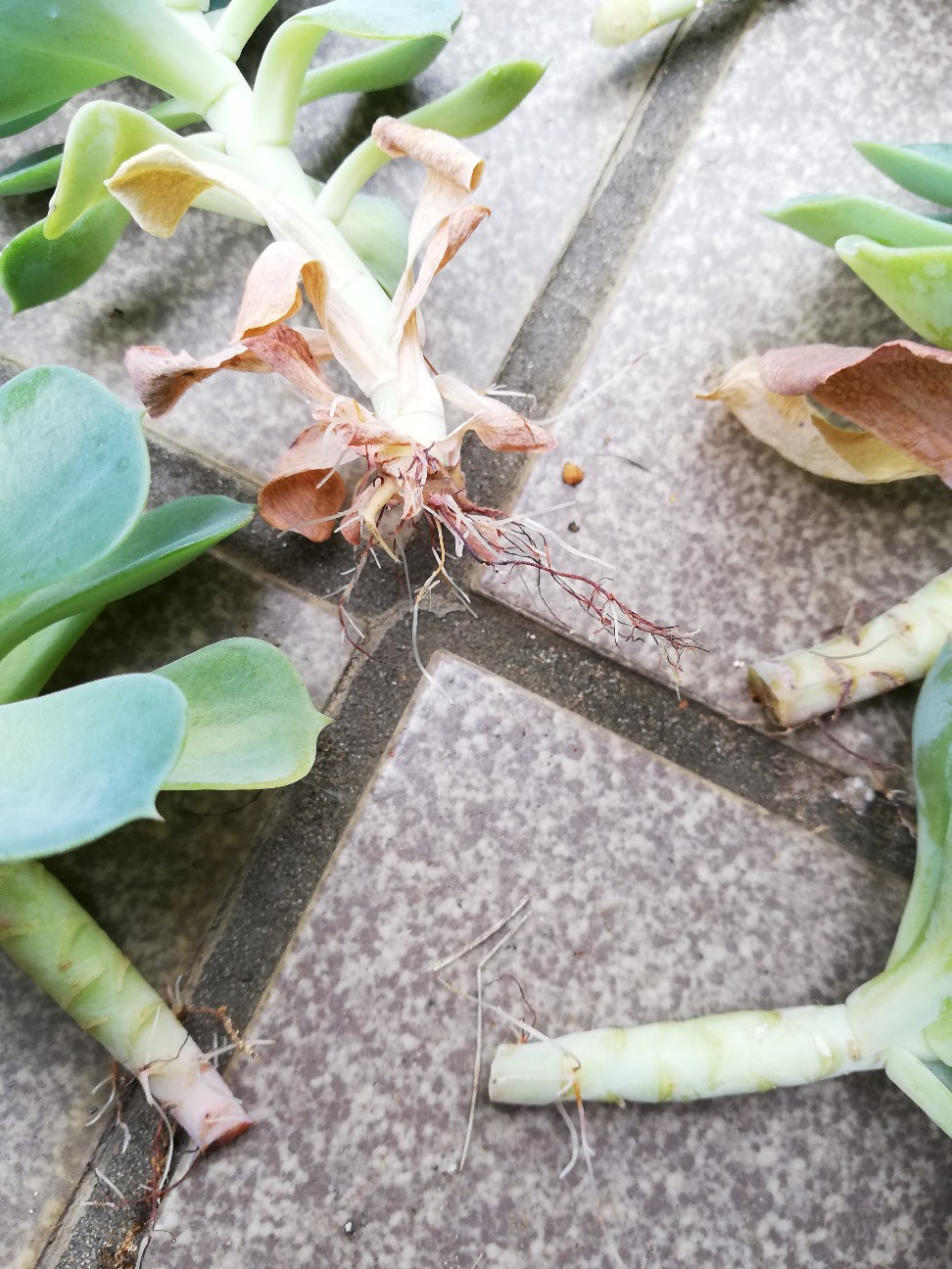 f:id:rockawaythemods:20200929193331j:image f:id:rockawaythemods:20200929193331j:image