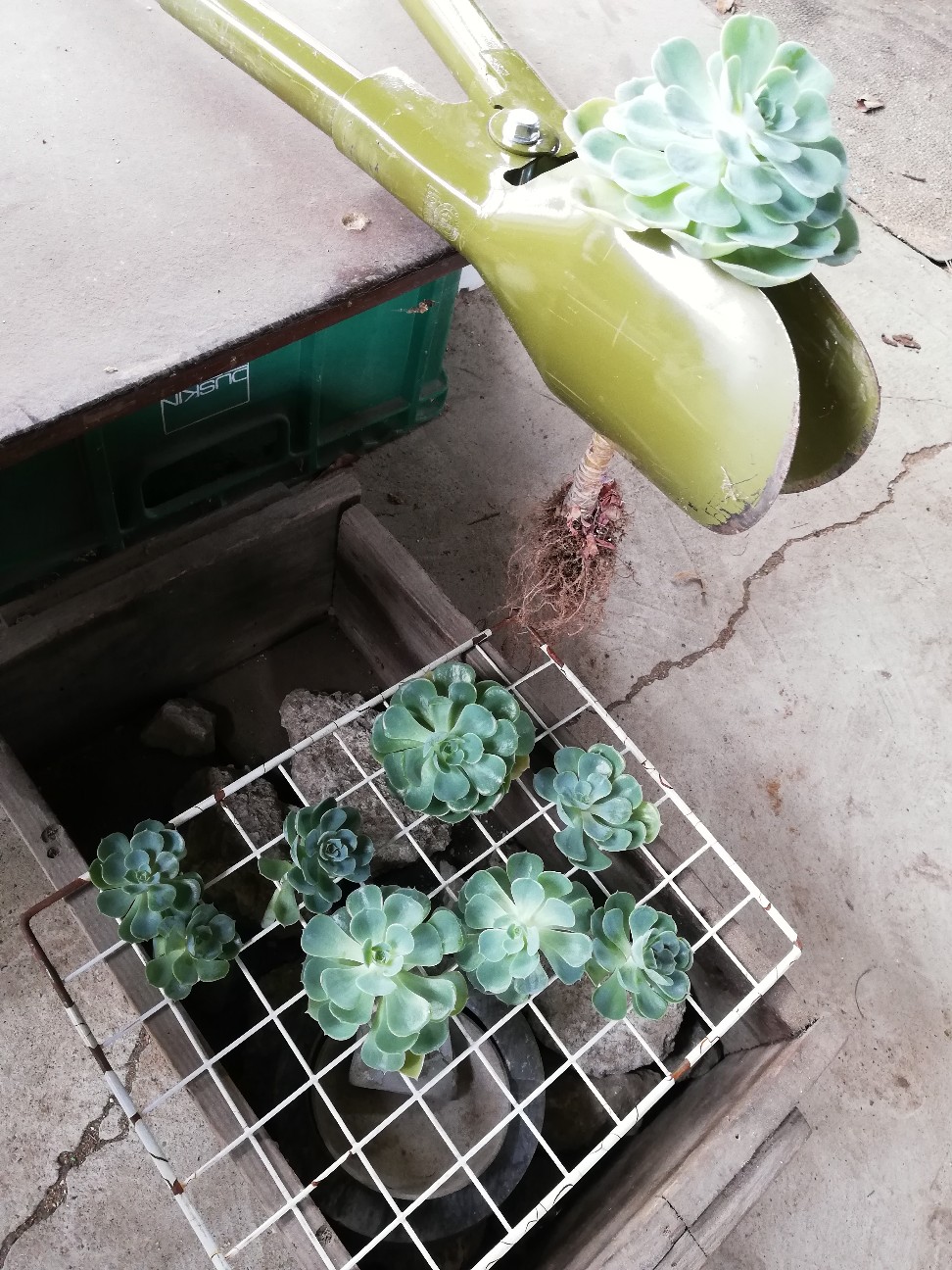 f:id:rockawaythemods:20200929193639j:image f:id:rockawaythemods:20200929193639j:image