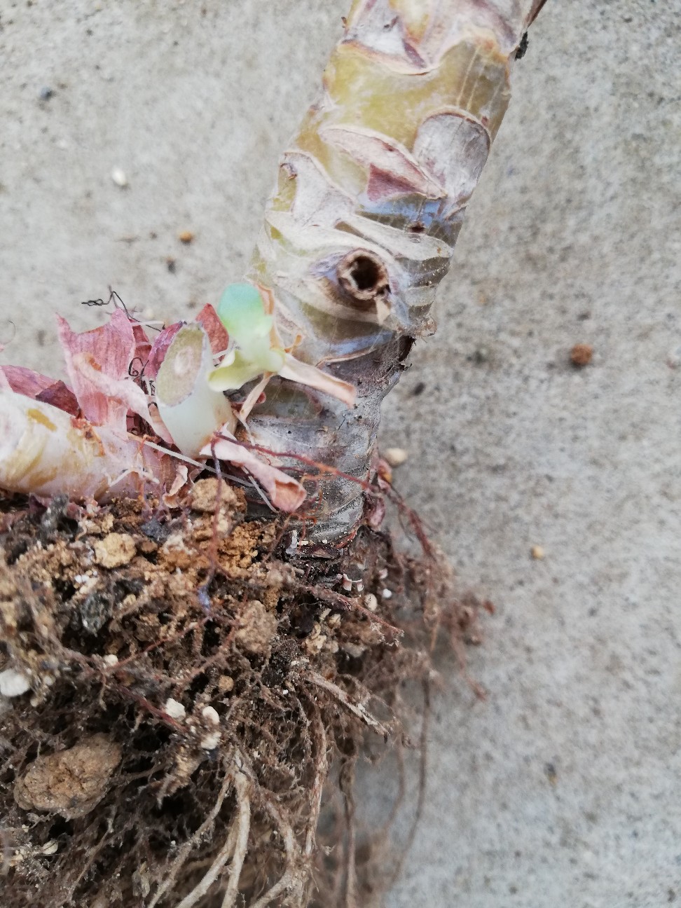 f:id:rockawaythemods:20200929193842j:image f:id:rockawaythemods:20200929193842j:image