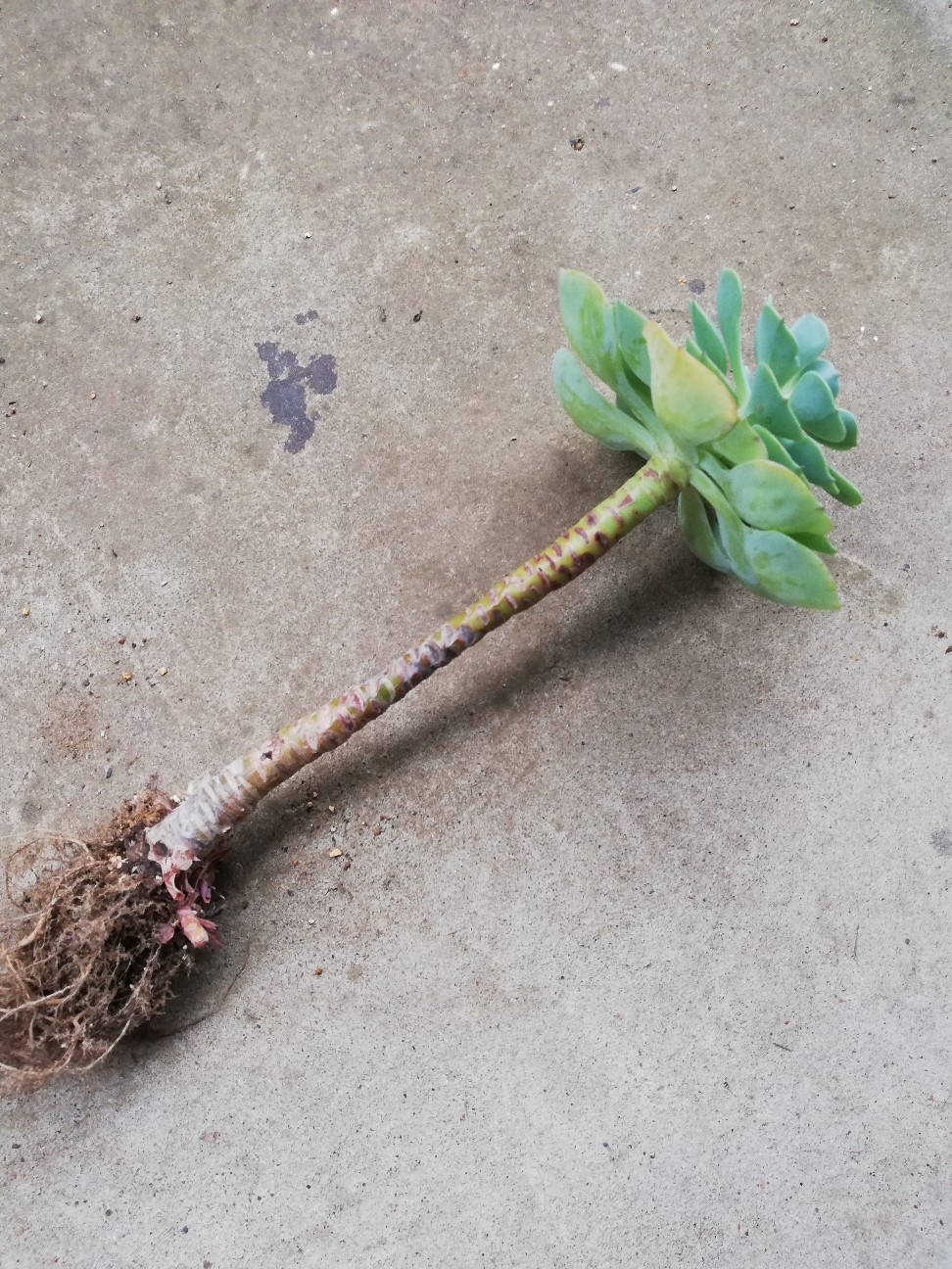 f:id:rockawaythemods:20200929193915j:image f:id:rockawaythemods:20200929193915j:image