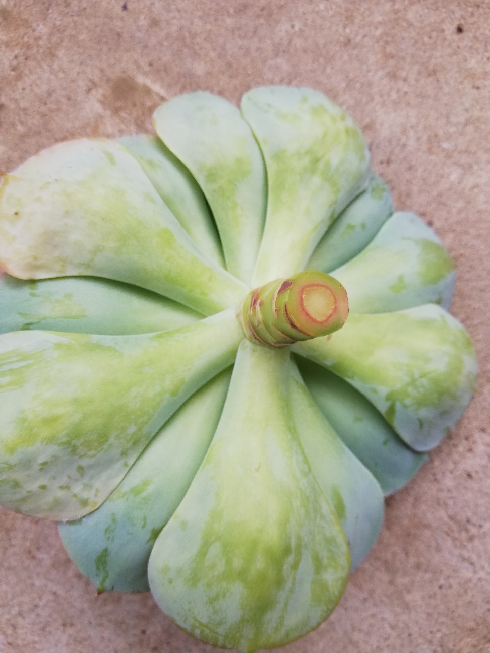 f:id:rockawaythemods:20200929194009j:image f:id:rockawaythemods:20200929194009j:image