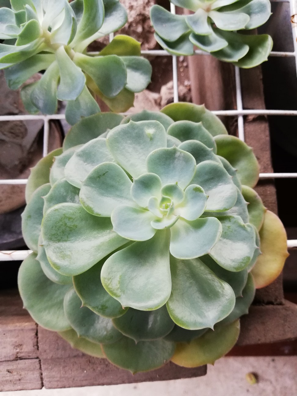 f:id:rockawaythemods:20200929194050j:image f:id:rockawaythemods:20200929194050j:image