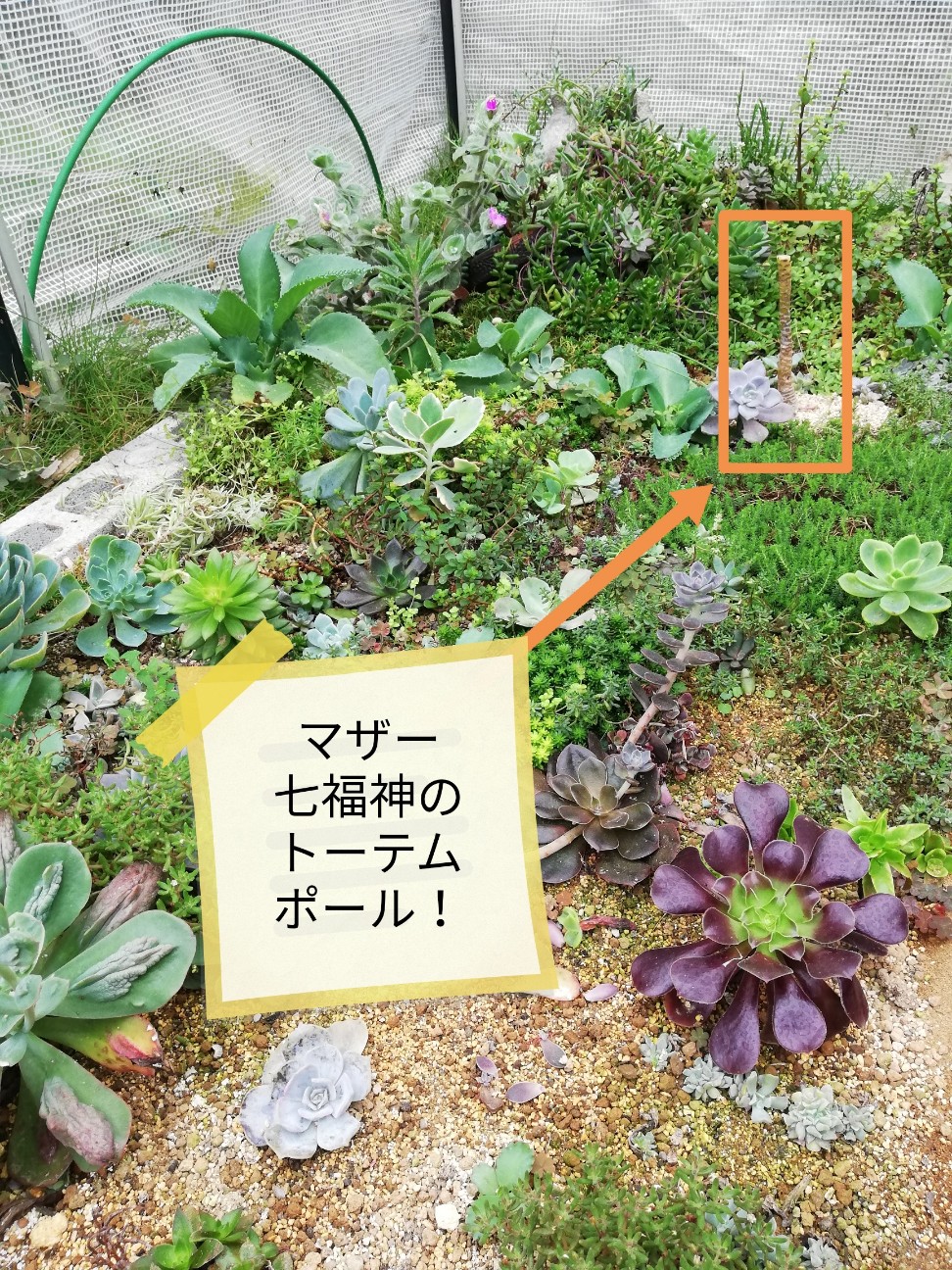 f:id:rockawaythemods:20200929195934j:image f:id:rockawaythemods:20200929195934j:image