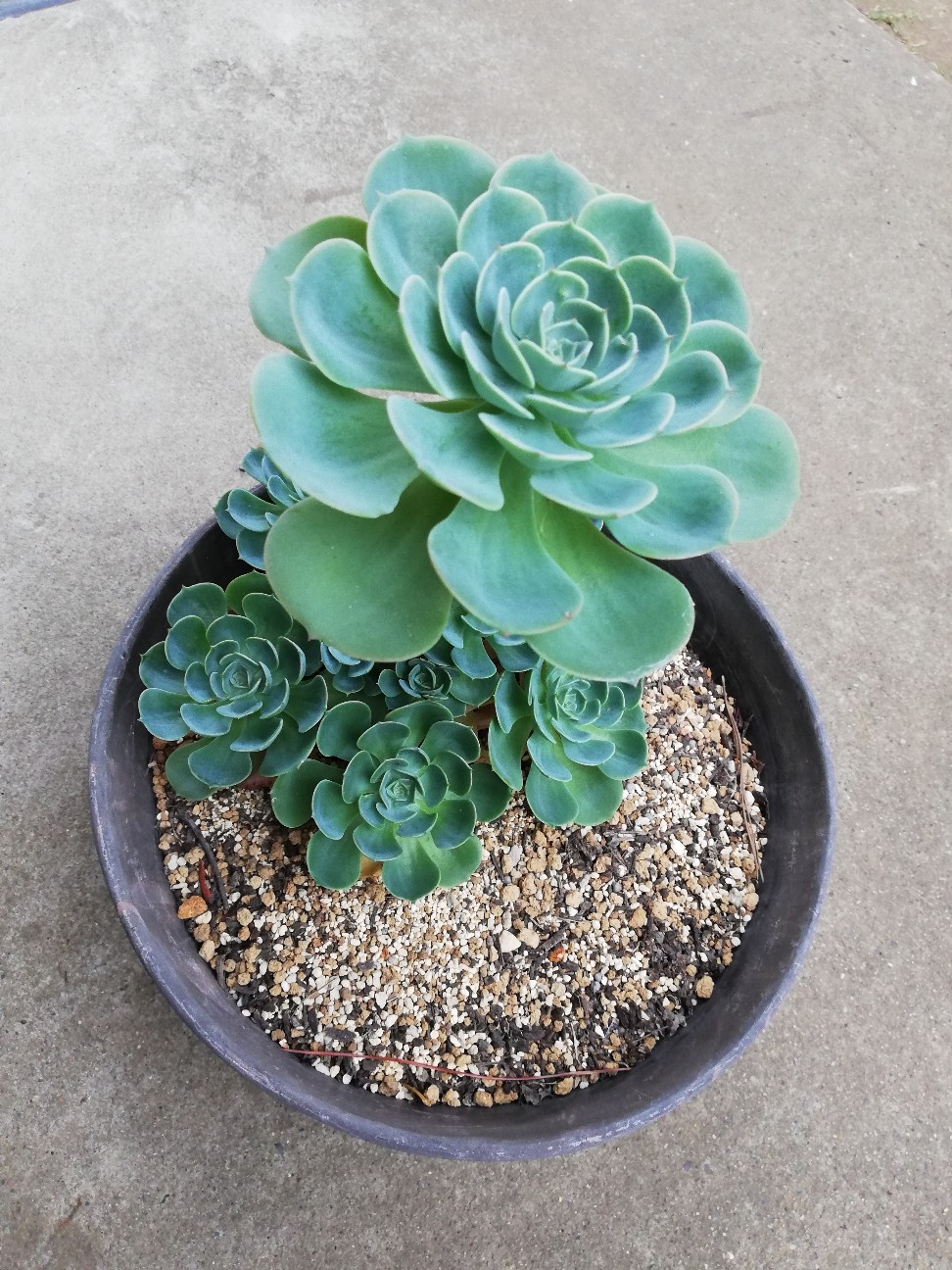 f:id:rockawaythemods:20200929200637j:image f:id:rockawaythemods:20200929200637j:image