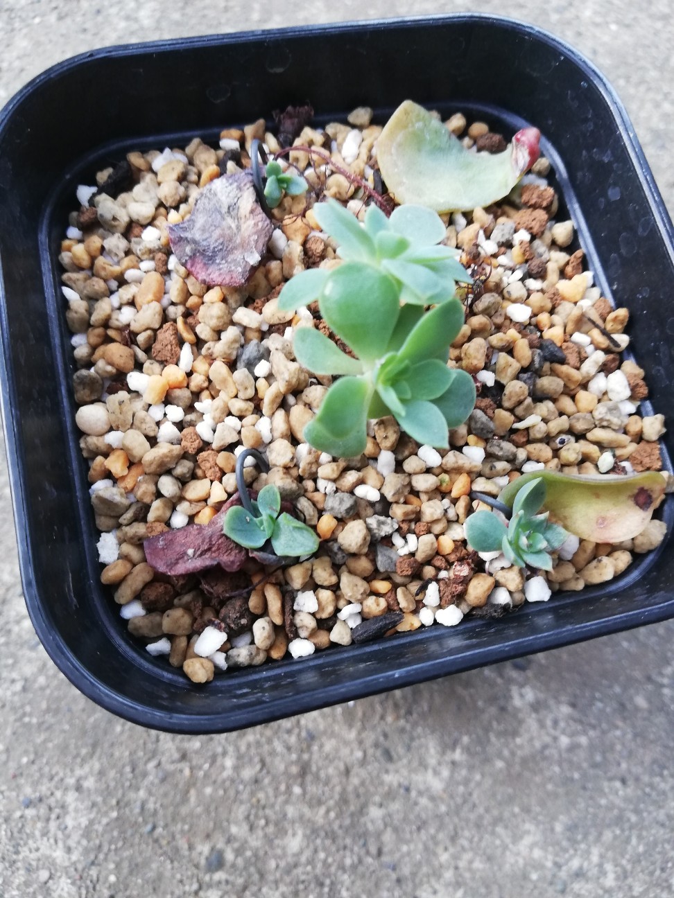 f:id:rockawaythemods:20200929201455j:image f:id:rockawaythemods:20200929201455j:image