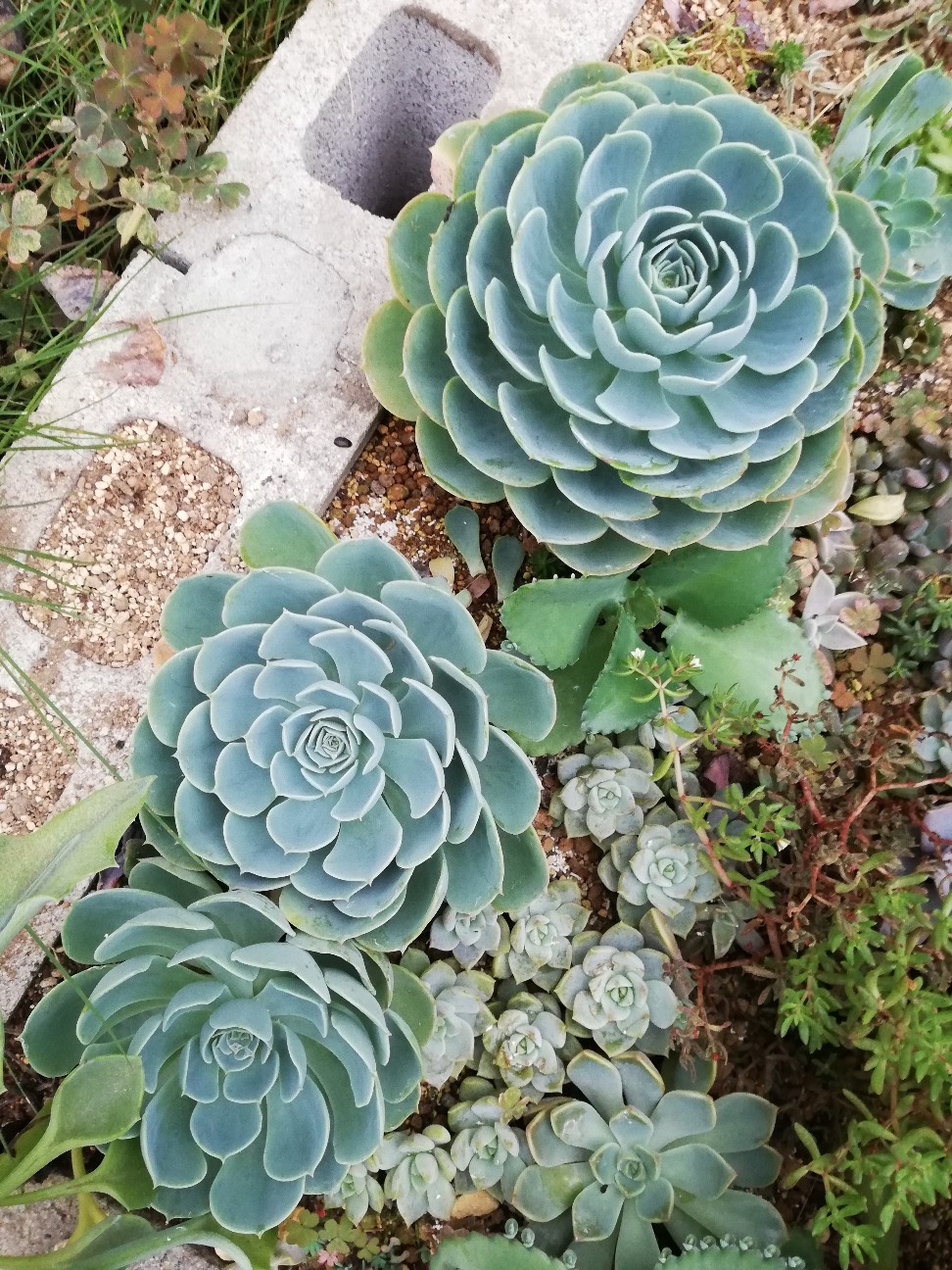 f:id:rockawaythemods:20200929201525j:image f:id:rockawaythemods:20200929201525j:image