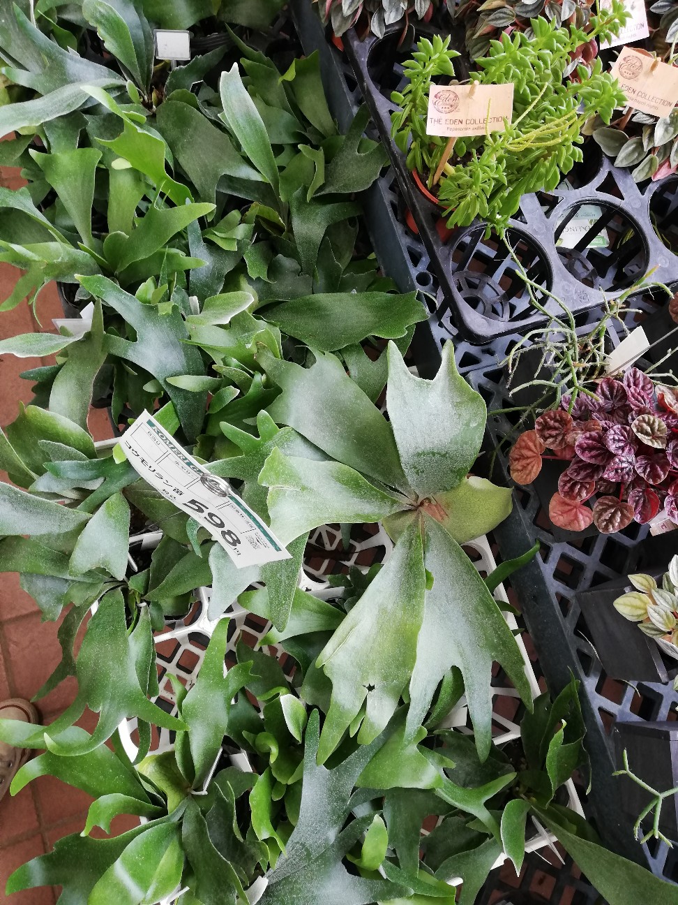 f:id:rockawaythemods:20201006155324j:image