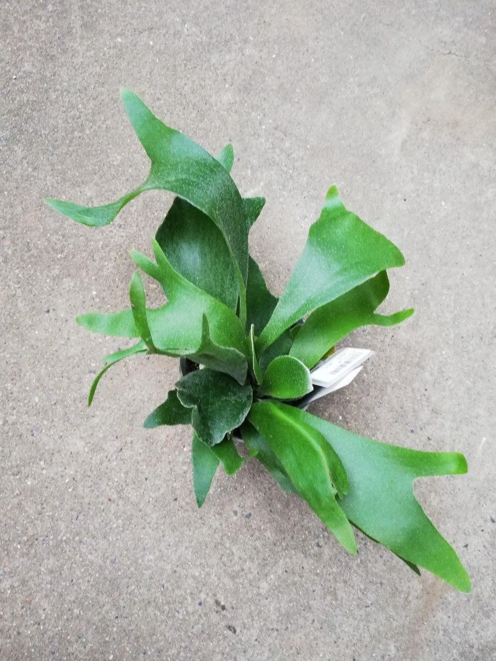 f:id:rockawaythemods:20201006155342j:image