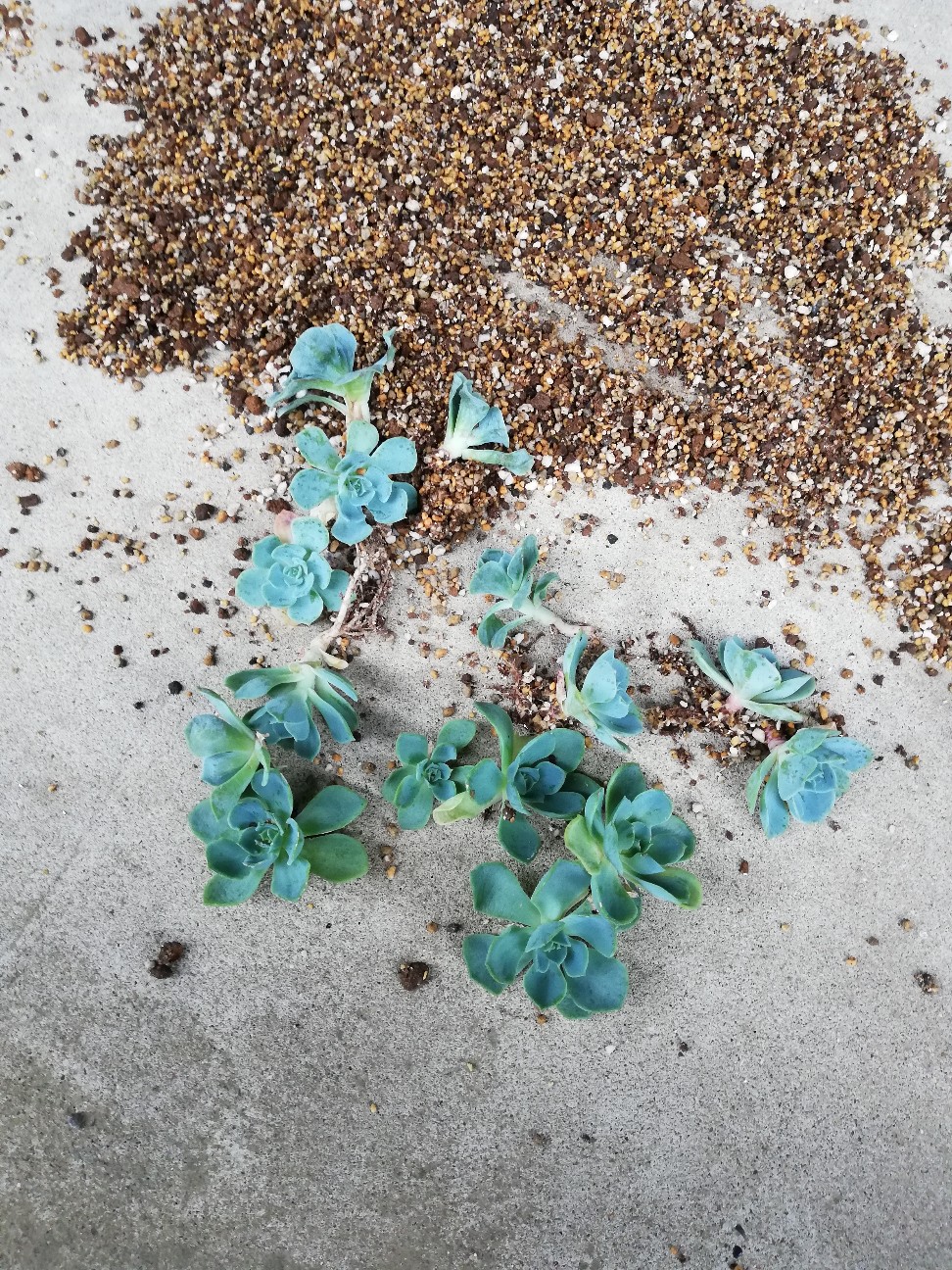 f:id:rockawaythemods:20210522125732j:image f:id:rockawaythemods:20210522125732j:image