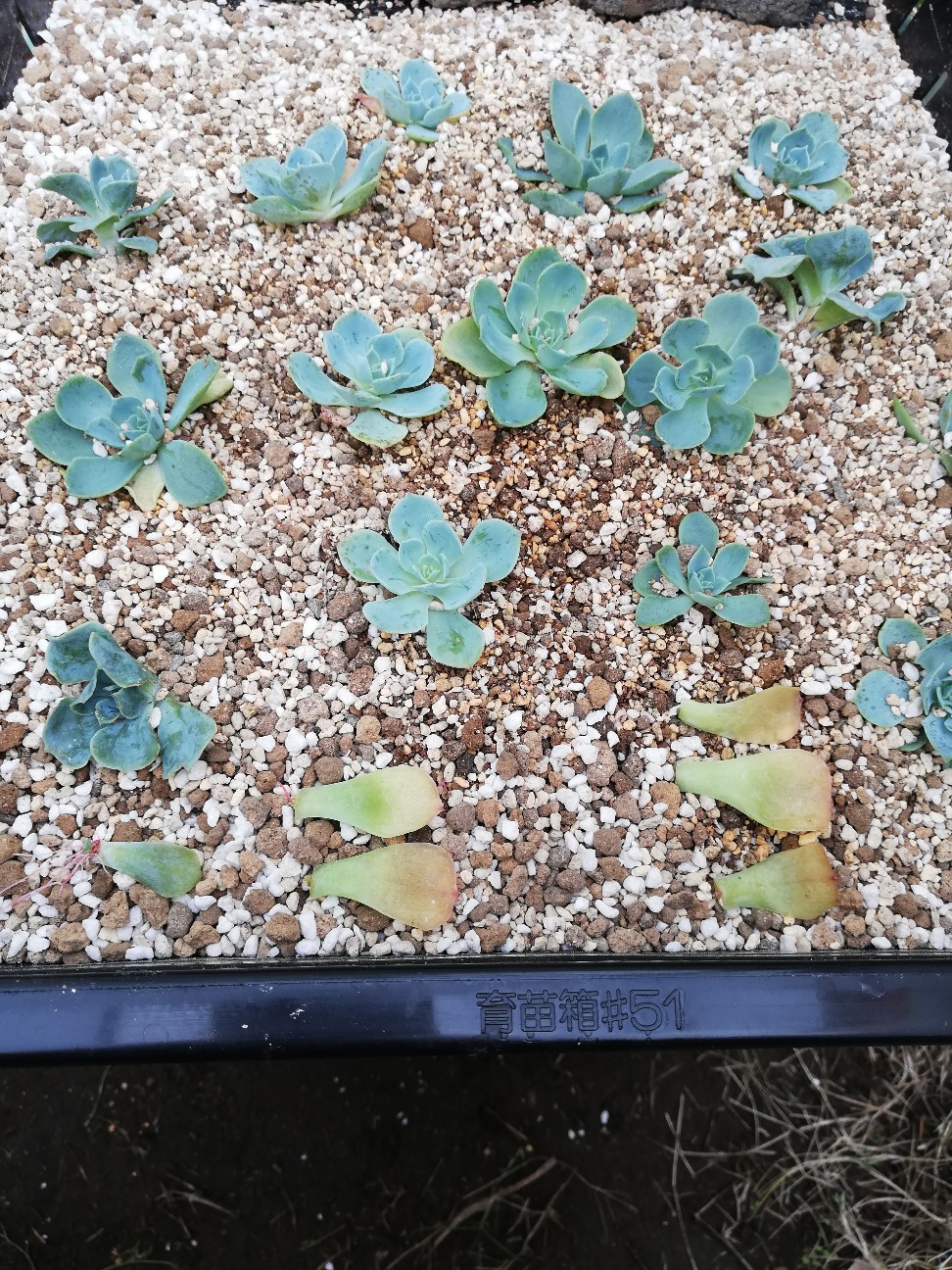 f:id:rockawaythemods:20210523075450j:image f:id:rockawaythemods:20210523075450j:image