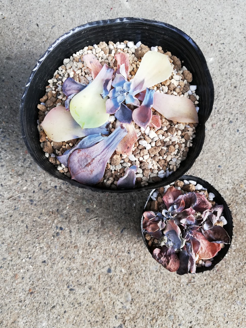 f:id:rockawaythemods:20210628131102j:image f:id:rockawaythemods:20210628131102j:image