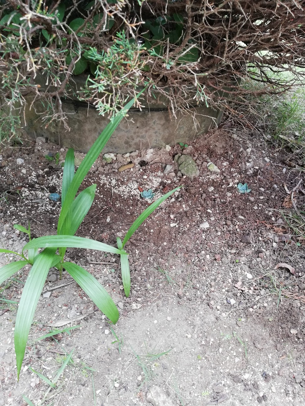 f:id:rockawaythemods:20210628131502j:image f:id:rockawaythemods:20210628131502j:image