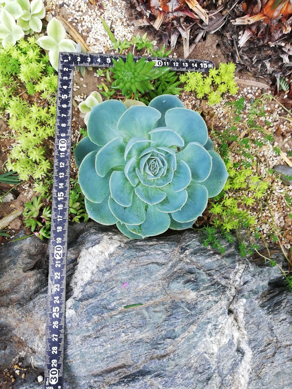 f:id:rockawaythemods:20210628132015j:image f:id:rockawaythemods:20210628132015j:image