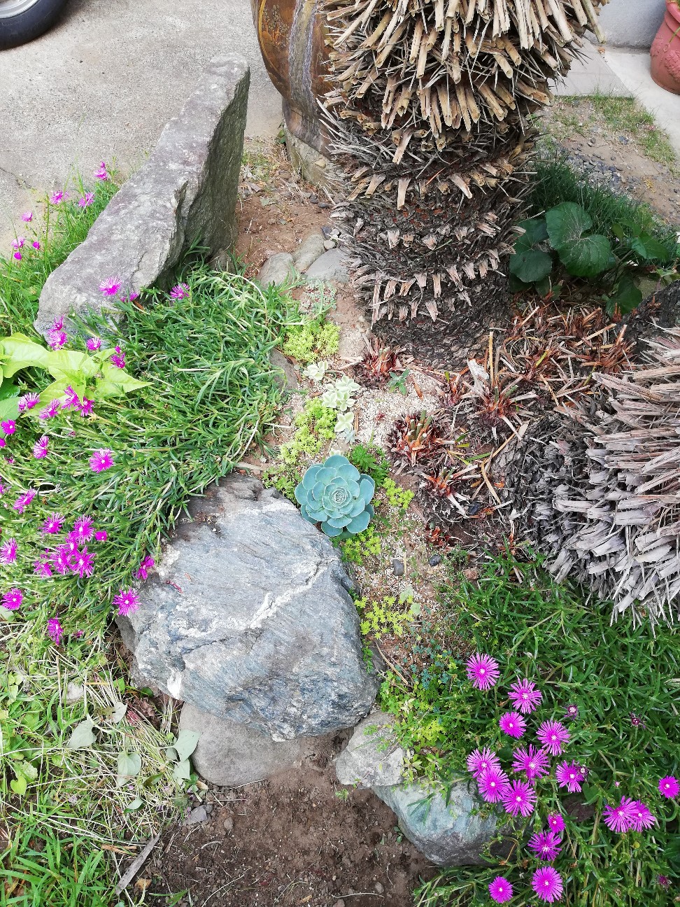 f:id:rockawaythemods:20210628132041j:image f:id:rockawaythemods:20210628132041j:image