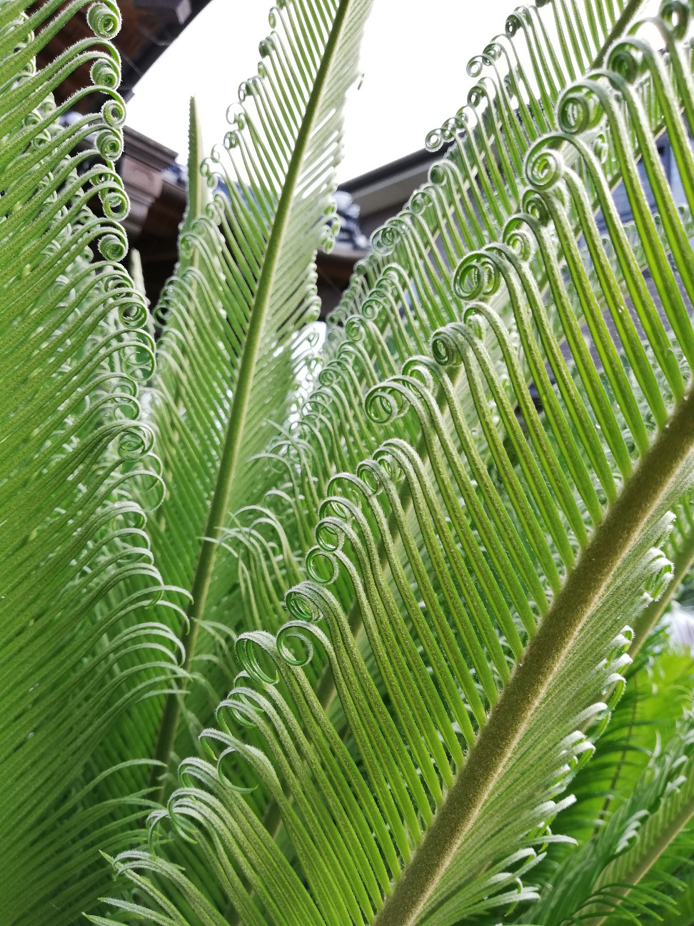 f:id:rockawaythemods:20210628132123j:image f:id:rockawaythemods:20210628132123j:image